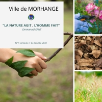 La nature agit, l'homme fait - Semaine 7